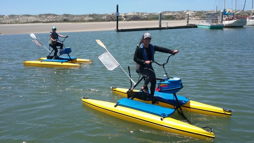 hydrobike rental business